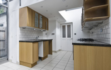 Whiteleas kitchen extension leads